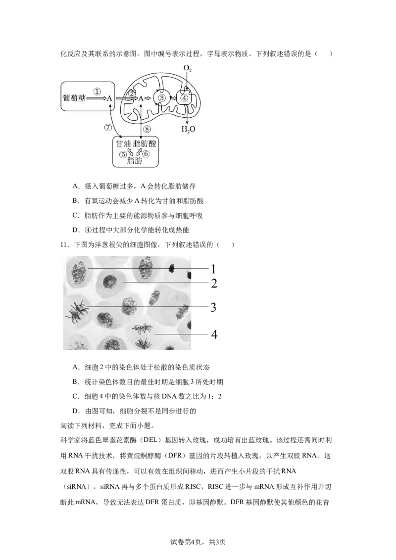 《10_2025届浙江省绍兴市高三上学期11月高考科目诊断性考试（一模）生物试题_2026版教学资源包_202653高考总复习A版_新高考_生物_教师A版2026年.新高考版.生物.53_优质模拟题精选（Word）》第4页预览