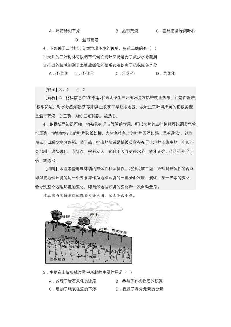 《高频考点106树叶_地理_2026年-地理高考专项复习_42026年高考地理高频考点专项突破思维导图+解题技巧+专项突破》第5页预览