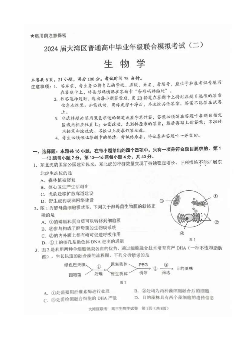 《7_2024大湾区二模（试卷+答案）_2025版教学资源包_（总复习系列）2025版《5年高考3年模拟》新高考版B版（⭐全科）_2025版.新高考新教材版.选考总复习.生物.5·3B版_第二部分图书拓展资源》第1页预览