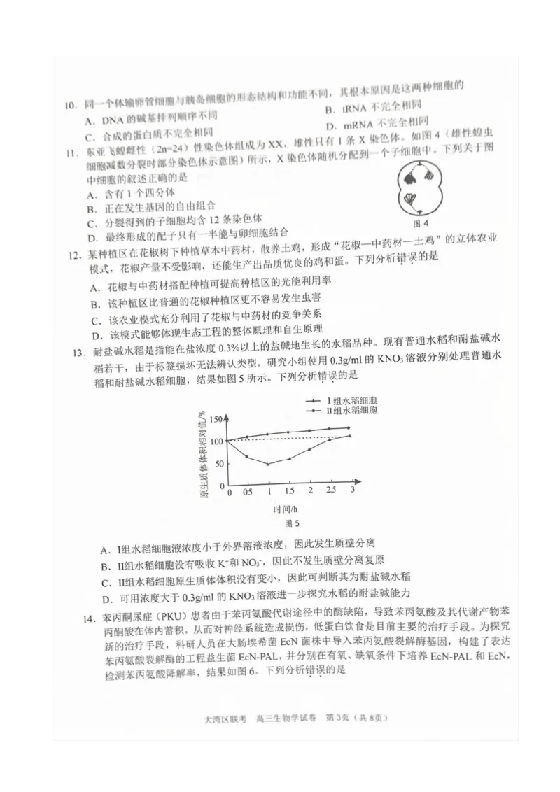《7_2024大湾区二模（试卷+答案）_2025版教学资源包_（总复习系列）2025版《5年高考3年模拟》新高考版B版（⭐全科）_2025版.新高考新教材版.选考总复习.生物.5·3B版_第二部分图书拓展资源》第3页预览