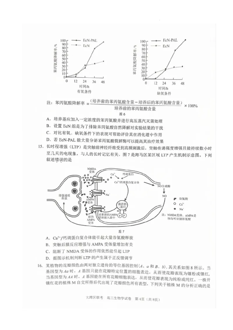 《7_2024大湾区二模（试卷+答案）_2025版教学资源包_（总复习系列）2025版《5年高考3年模拟》新高考版B版（⭐全科）_2025版.新高考新教材版.选考总复习.生物.5·3B版_第二部分图书拓展资源》第4页预览