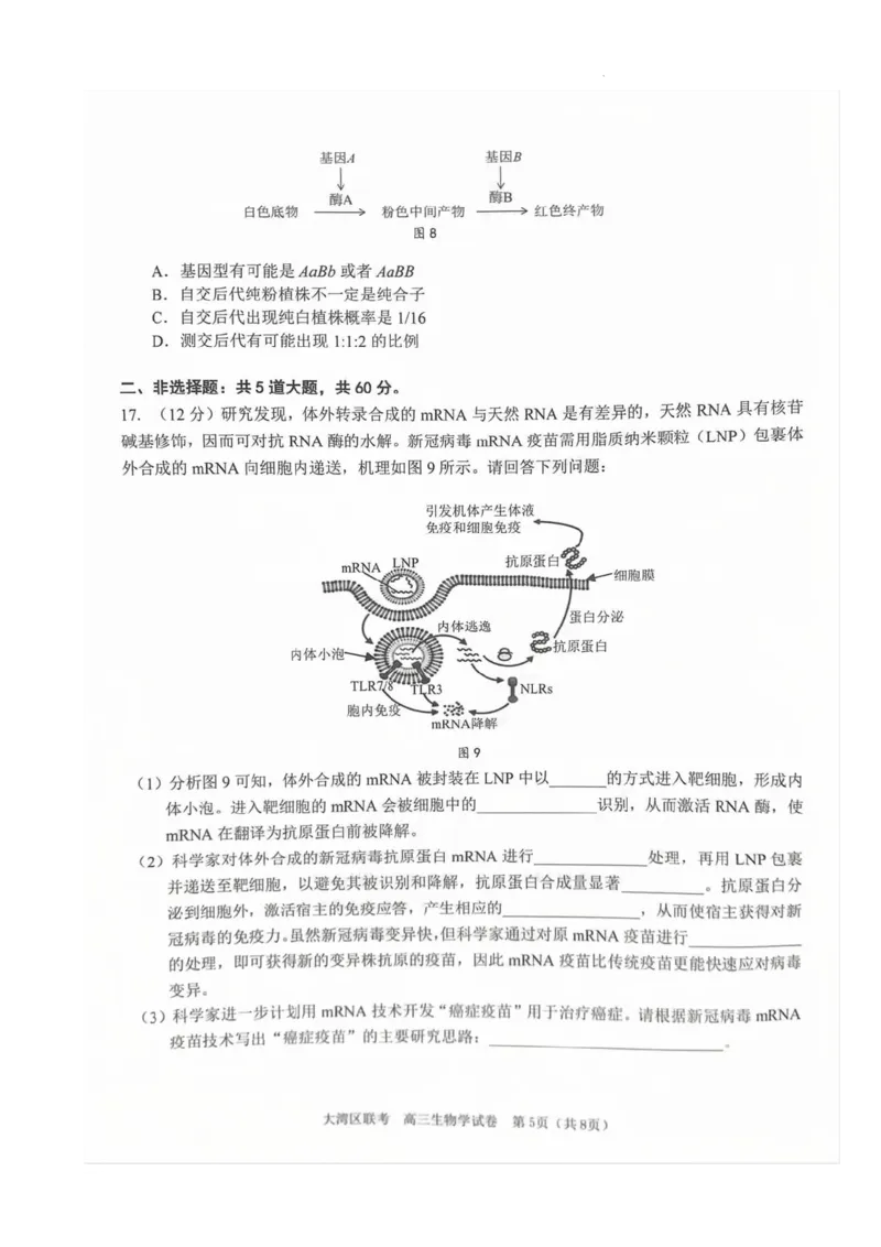 《7_2024大湾区二模（试卷+答案）_2025版教学资源包_（总复习系列）2025版《5年高考3年模拟》新高考版B版（⭐全科）_2025版.新高考新教材版.选考总复习.生物.5·3B版_第二部分图书拓展资源》第5页预览