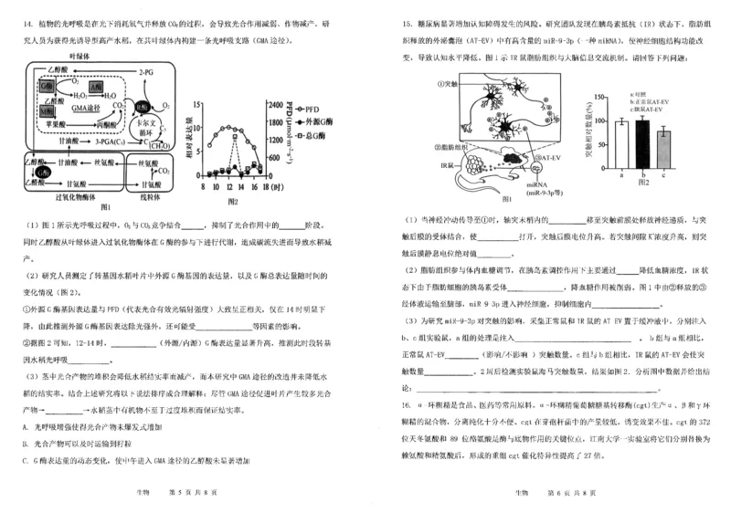 《8_2024天津市12校联考一（试卷+答案）_2025版教学资源包_（总复习系列）2025版《5年高考3年模拟》新高考版B版（⭐全科）_2025版.新高考新教材版.选考总复习.生物.5·3B版_1_资源拓展》第3页预览
