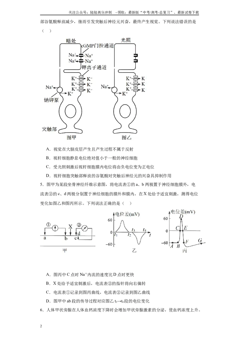《第八单元生命活动的调节（测试卷）（原卷版)_06-生物-高考总复习_一轮复习_2024年_2024年高考生物一轮复习重难点专项突破_资料》第2页预览