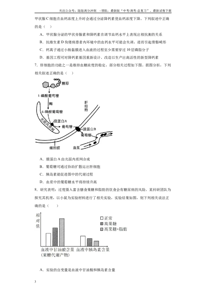 《第八单元生命活动的调节（测试卷）（原卷版)_06-生物-高考总复习_一轮复习_2024年_2024年高考生物一轮复习重难点专项突破_资料》第3页预览
