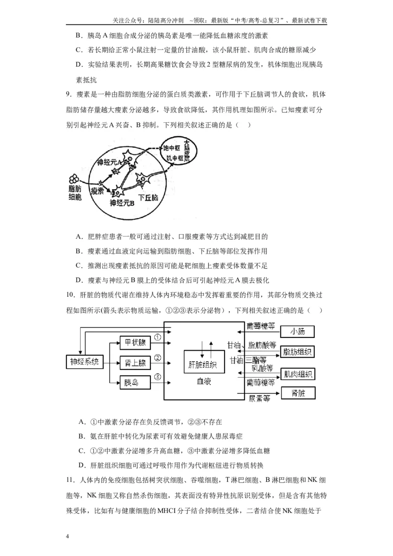 《第八单元生命活动的调节（测试卷）（原卷版)_06-生物-高考总复习_一轮复习_2024年_2024年高考生物一轮复习重难点专项突破_资料》第4页预览