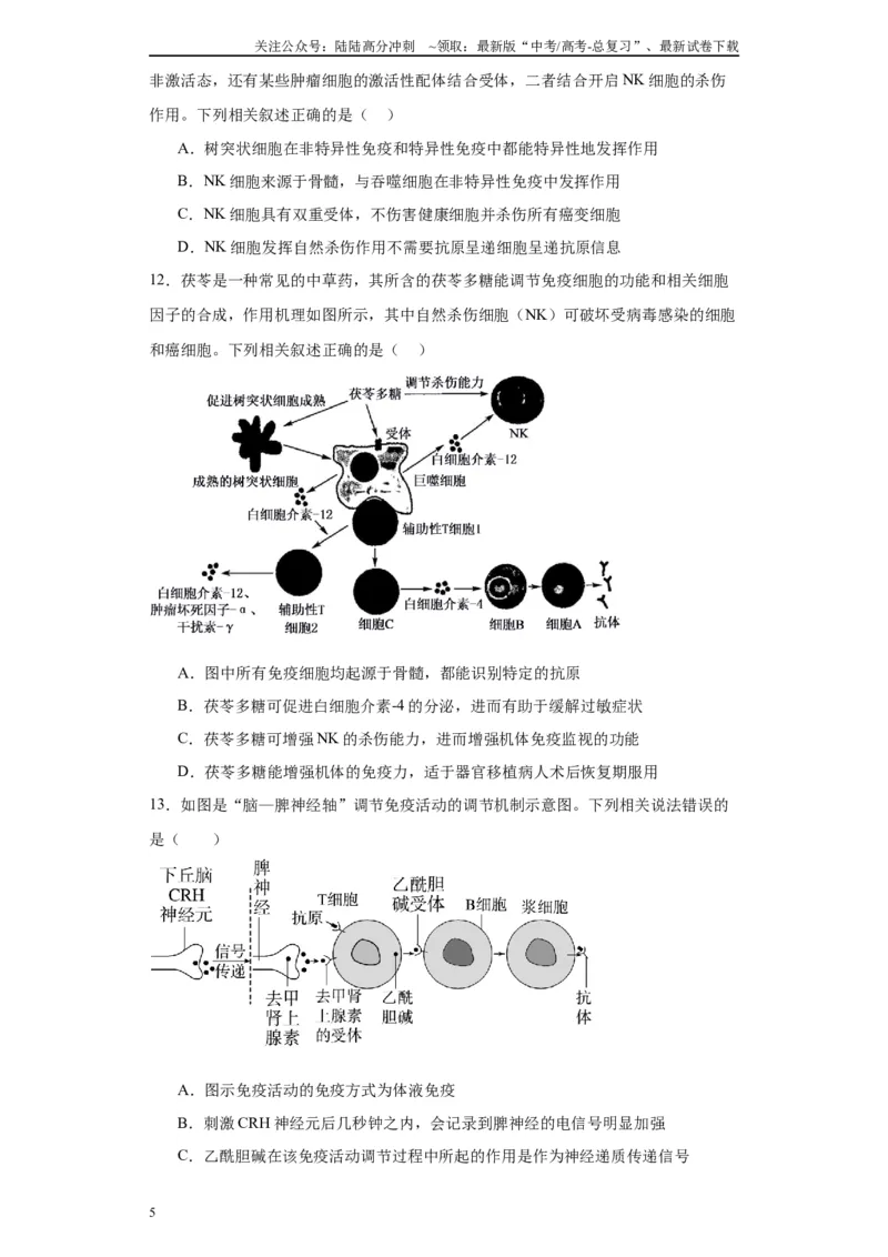 《第八单元生命活动的调节（测试卷）（原卷版)_06-生物-高考总复习_一轮复习_2024年_2024年高考生物一轮复习重难点专项突破_资料》第5页预览