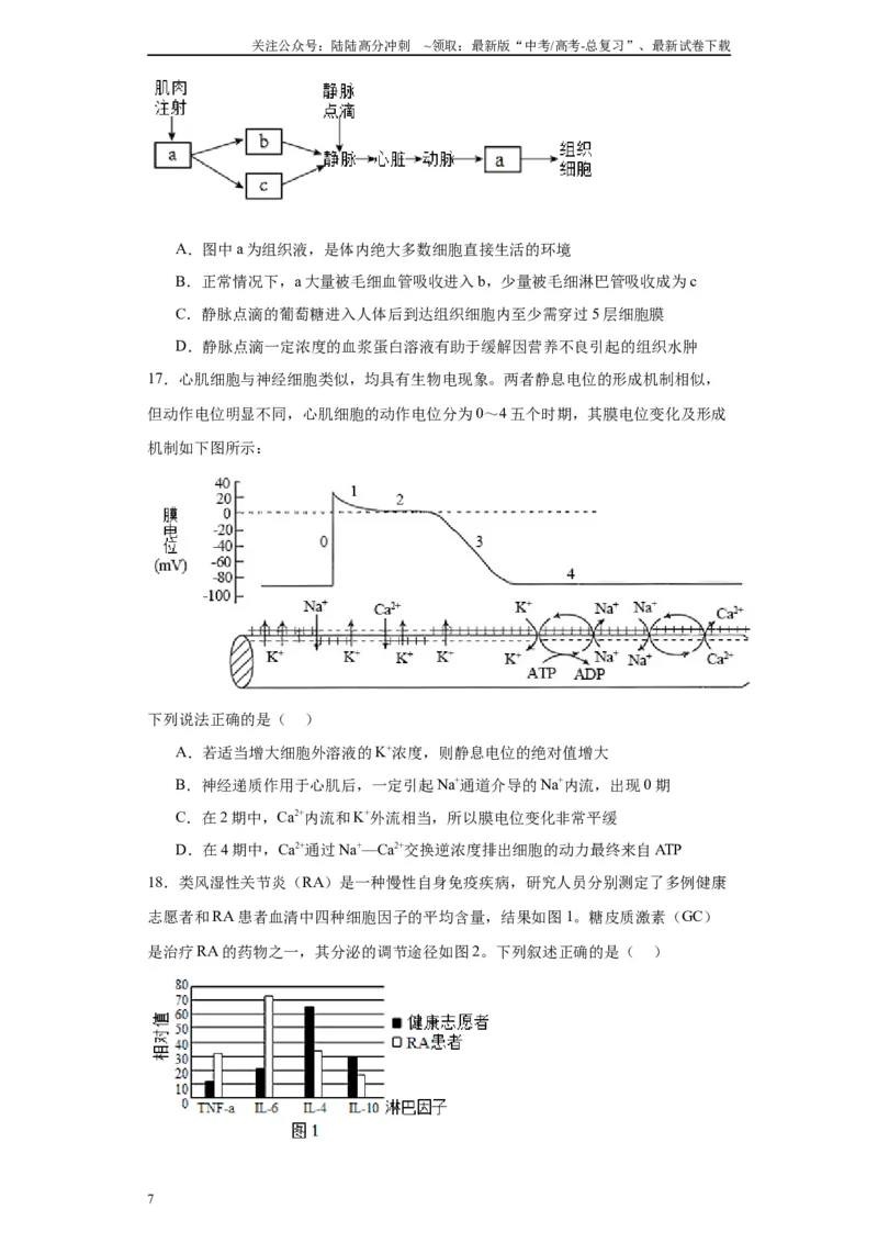《第八单元生命活动的调节（测试卷）（原卷版)_06-生物-高考总复习_一轮复习_2024年_2024年高考生物一轮复习重难点专项突破_资料》第7页预览