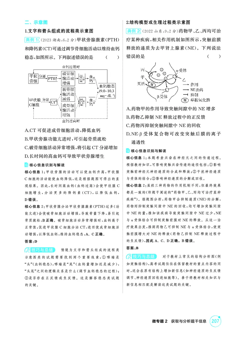 《1_精讲册PDF-微专题2获取与分析题干信息_2026版教学资源包_202653高考总复习A版_山东版_2026版.山东版.选考总复习.生物.5·3A版_微专题_微专题2获取与分析题干信息_2_精讲册PDF》第2页预览