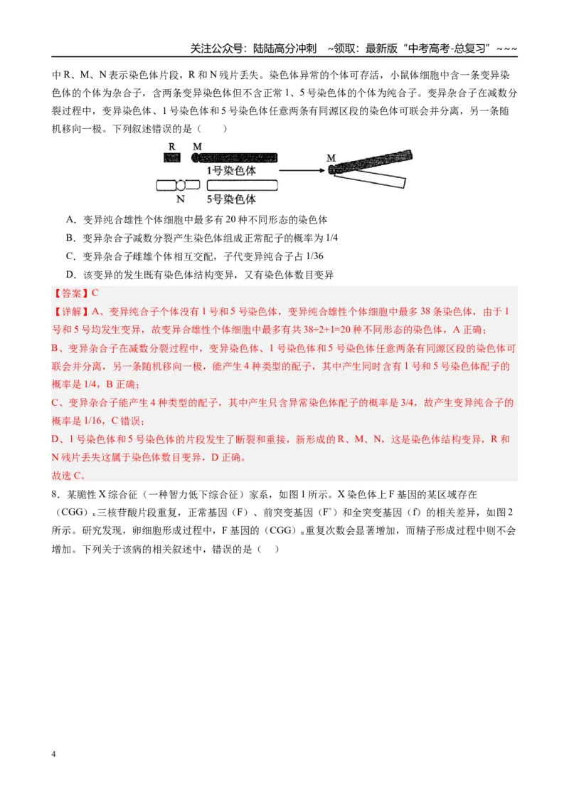 《第七单元生物的变异和进化（综合训练）（四川专用）（教师版）_06-生物-高考总复习_一轮复习_2026年-生物高考一轮复习_2026年高考生物一轮课件+讲义+练习（四川专用）-G335》第4页预览