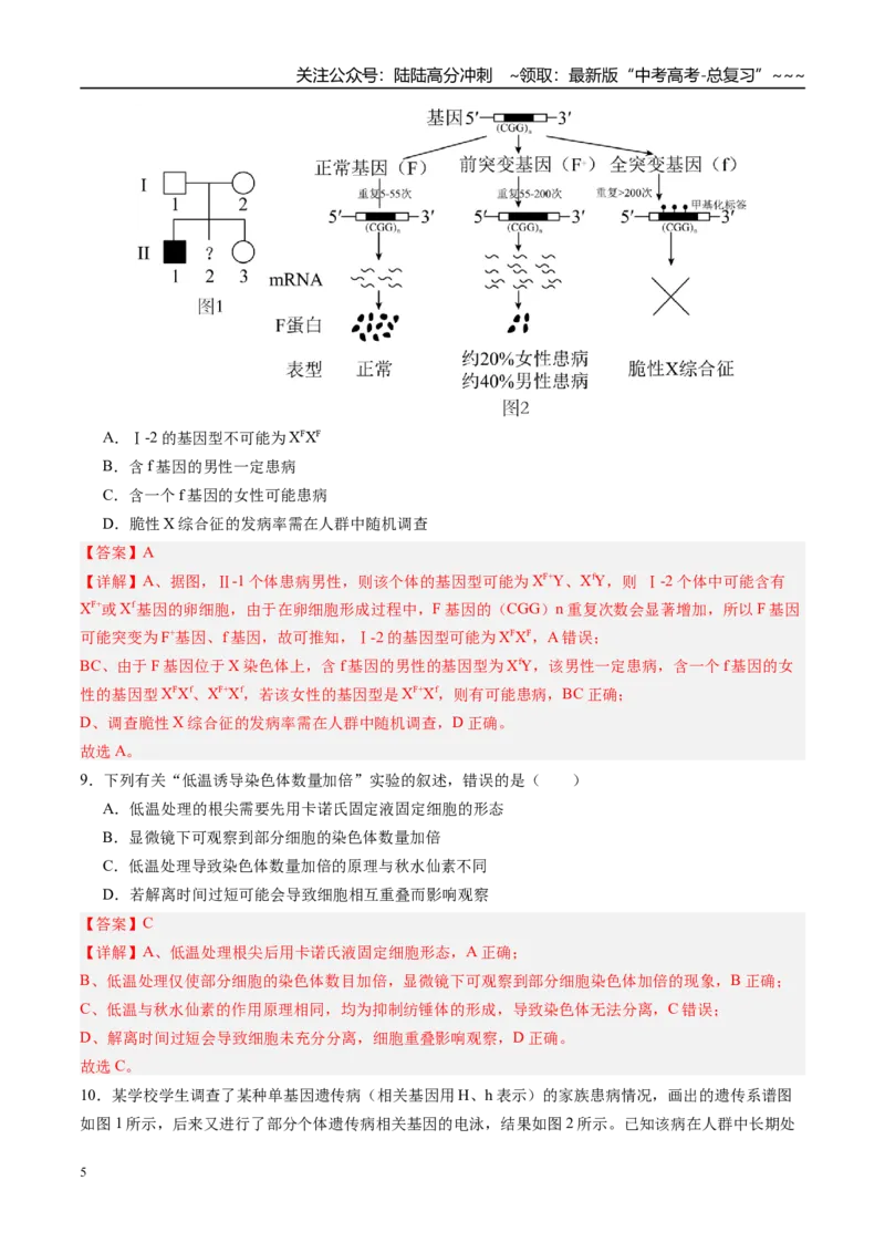 《第七单元生物的变异和进化（综合训练）（四川专用）（教师版）_06-生物-高考总复习_一轮复习_2026年-生物高考一轮复习_2026年高考生物一轮课件+讲义+练习（四川专用）-G335》第5页预览