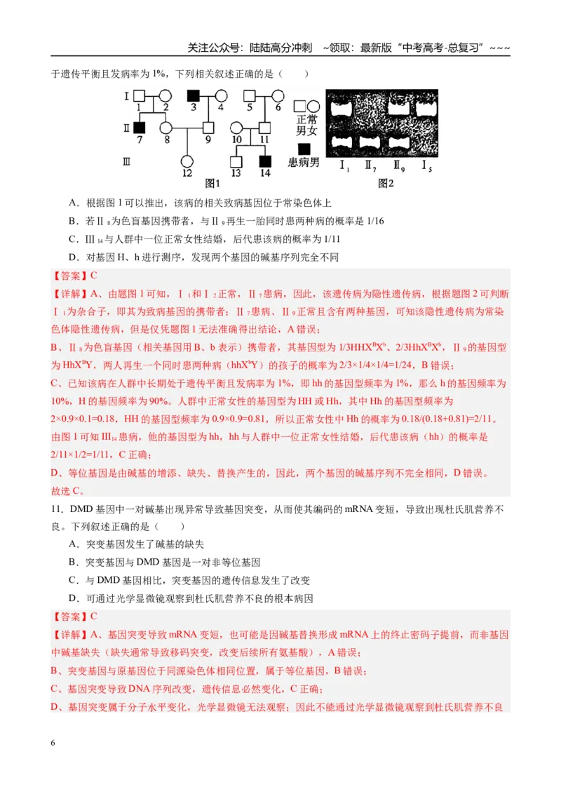 《第七单元生物的变异和进化（综合训练）（四川专用）（教师版）_06-生物-高考总复习_一轮复习_2026年-生物高考一轮复习_2026年高考生物一轮课件+讲义+练习（四川专用）-G335》第6页预览