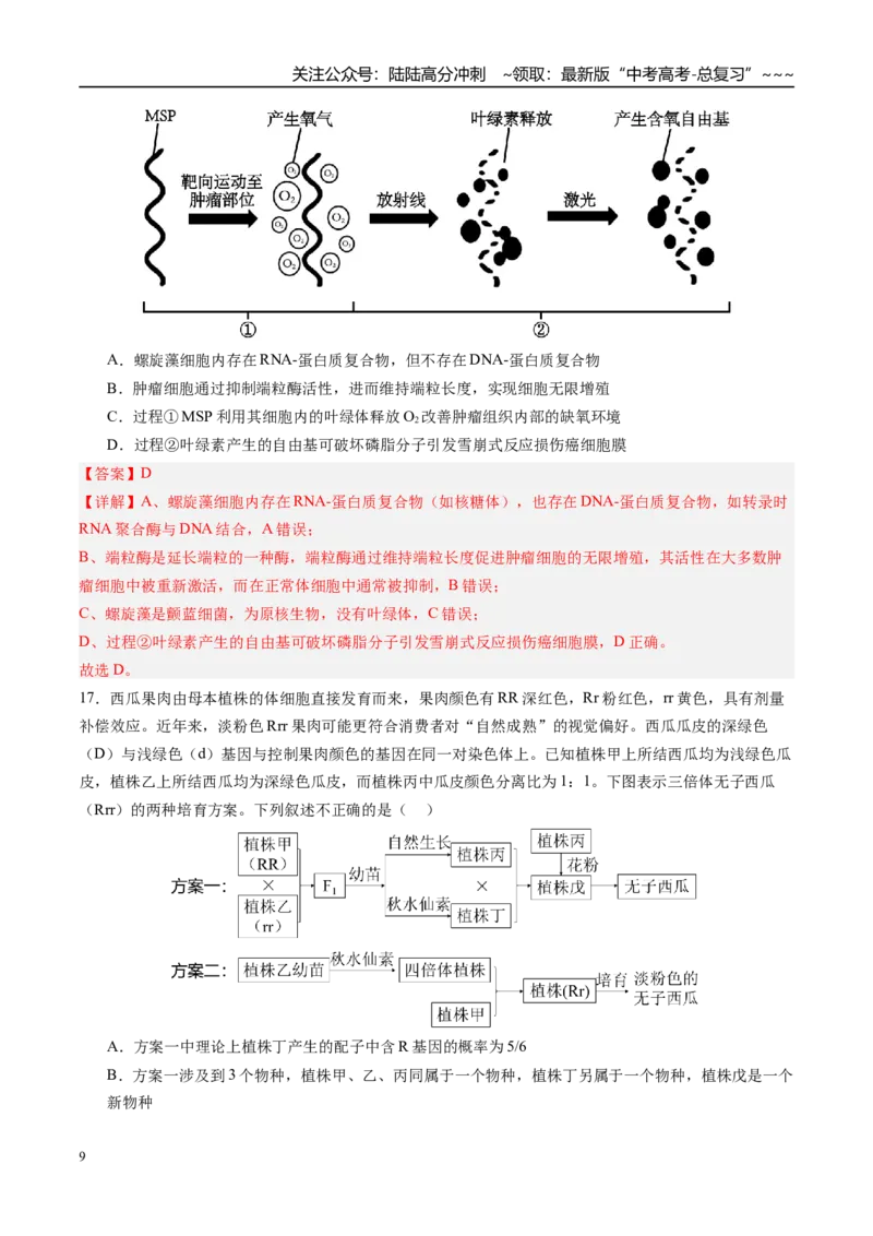 《第七单元生物的变异和进化（综合训练）（四川专用）（教师版）_06-生物-高考总复习_一轮复习_2026年-生物高考一轮复习_2026年高考生物一轮课件+讲义+练习（四川专用）-G335》第9页预览