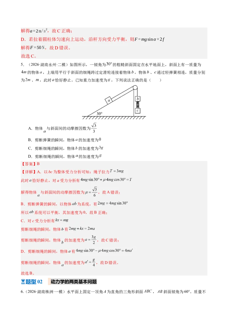 《第13讲牛顿第二定律的理解及基本应用（专项训练）（湖南专用）（教师版）_地理_2027年高考地理一轮_2027年高考物理一轮课件+讲义+练习（湖南专用）-G331_2027版》第6页预览