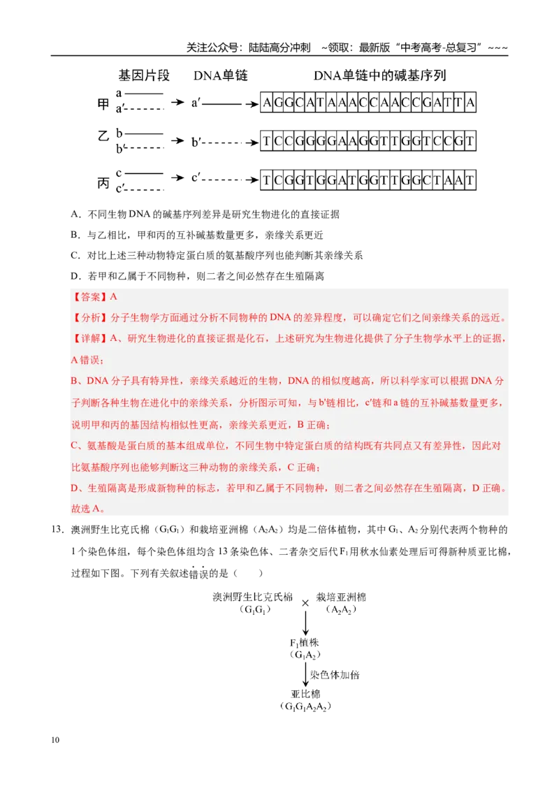 《第七单元生物的变异和进化（综合训练）（黑吉辽蒙专用）（教师版）_06-生物-高考总复习_一轮复习_2026年-生物高考一轮复习_2026年高考生物一轮课件+讲义+练习（黑吉辽蒙专用）-G330》第10页预览