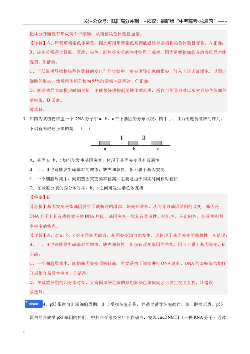 《第七单元生物的变异和进化（综合训练）（黑吉辽蒙专用）（教师版）_06-生物-高考总复习_一轮复习_2026年-生物高考一轮复习_2026年高考生物一轮课件+讲义+练习（黑吉辽蒙专用）-G330》第2页预览