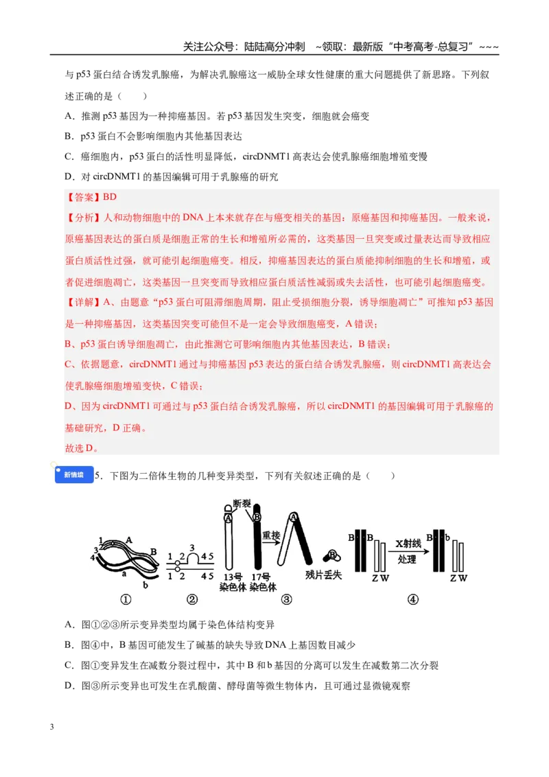 《第七单元生物的变异和进化（综合训练）（黑吉辽蒙专用）（教师版）_06-生物-高考总复习_一轮复习_2026年-生物高考一轮复习_2026年高考生物一轮课件+讲义+练习（黑吉辽蒙专用）-G330》第3页预览
