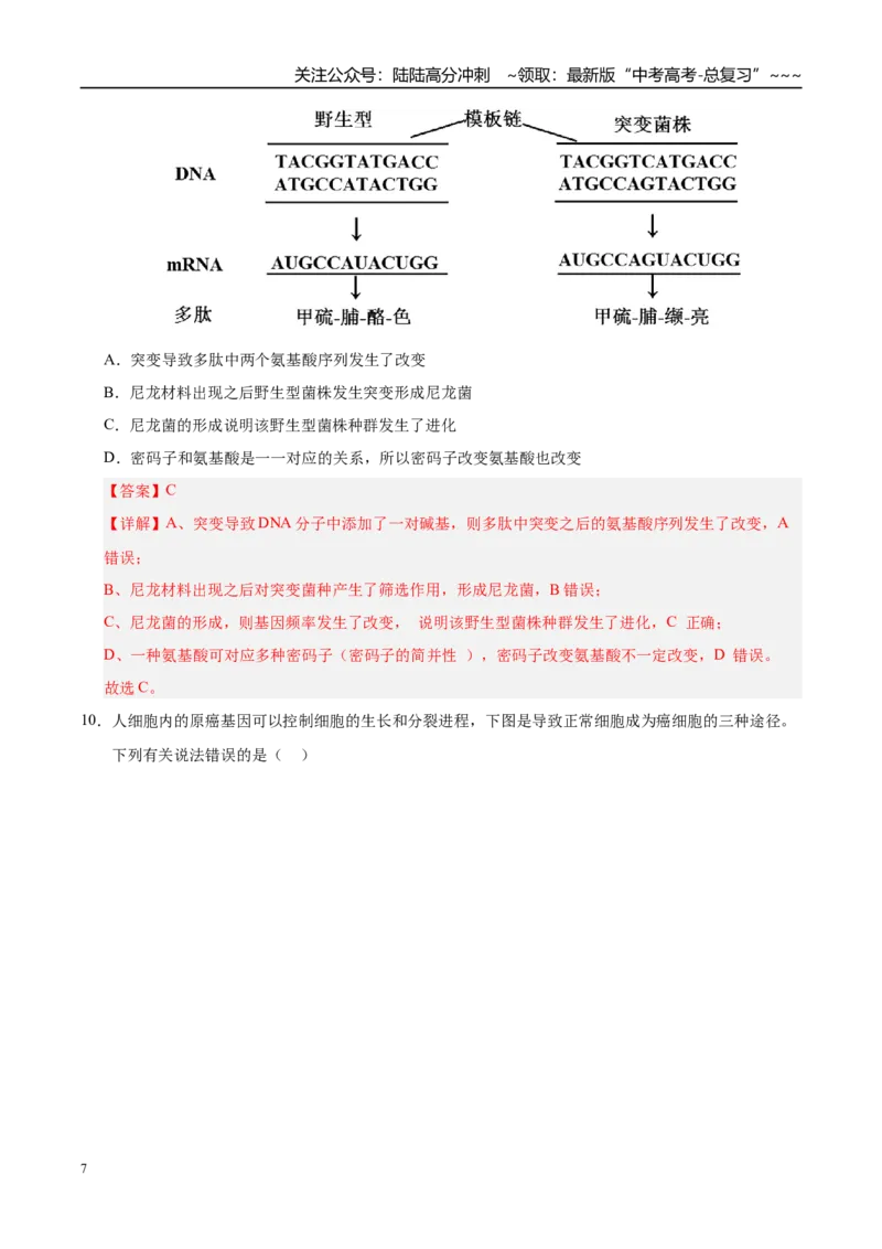 《第七单元生物的变异和进化（综合训练）（黑吉辽蒙专用）（教师版）_06-生物-高考总复习_一轮复习_2026年-生物高考一轮复习_2026年高考生物一轮课件+讲义+练习（黑吉辽蒙专用）-G330》第7页预览