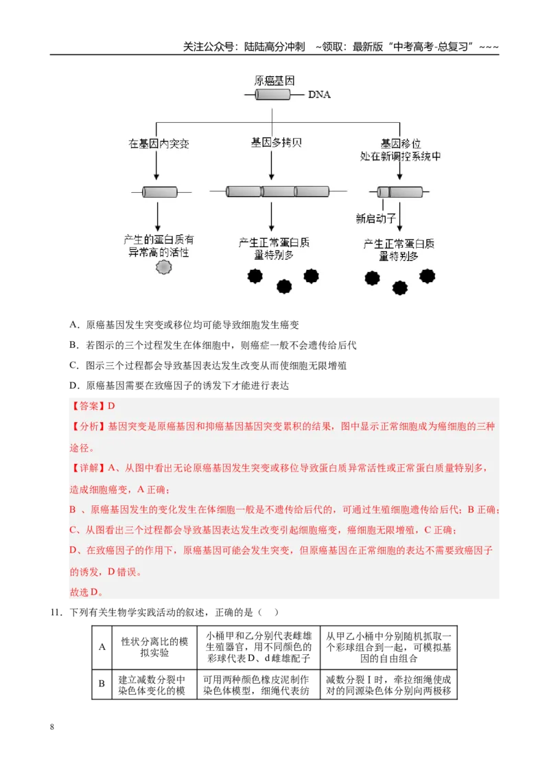 《第七单元生物的变异和进化（综合训练）（黑吉辽蒙专用）（教师版）_06-生物-高考总复习_一轮复习_2026年-生物高考一轮复习_2026年高考生物一轮课件+讲义+练习（黑吉辽蒙专用）-G330》第8页预览