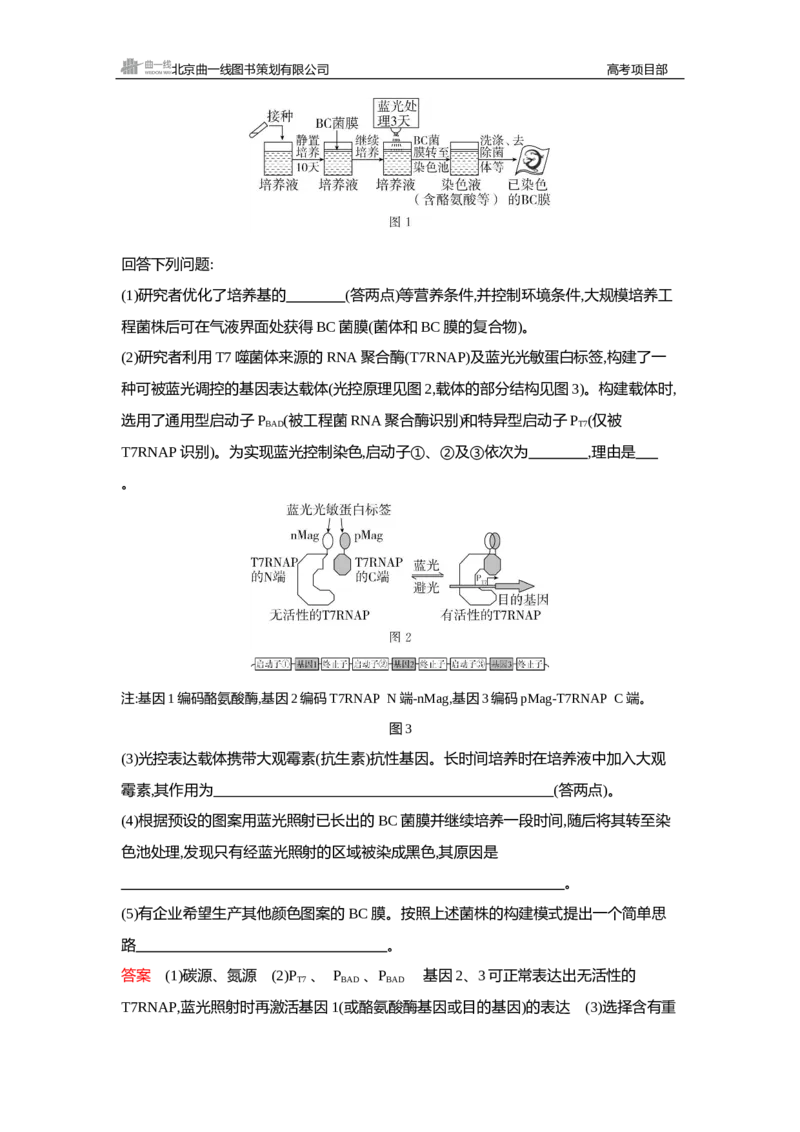 《1_精练册Word—微专题3精准分析与解释生物学问题_2026版教学资源包_202653高考总复习A版_新高考_生物_教师A版2026年.新高考版.生物.53_微专题_微专题3精准分析与解释生物学问题》第3页预览