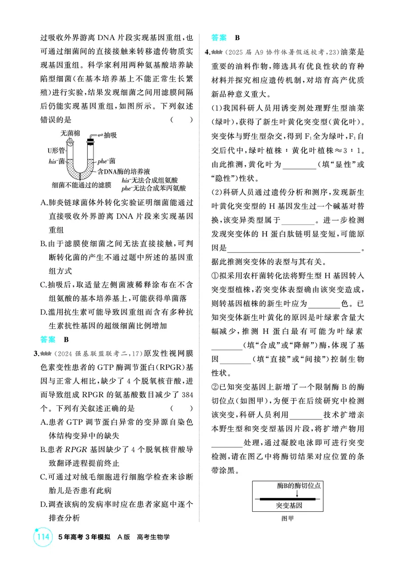 《1_精练册-第8章生物的变异_2026版教学资源包_202653高考总复习A版_浙江版_2026版.浙江版.选考总复习.生物.5·3A版_第2部分遗传与进化_第8章生物的变异_1_精练册PDF》第3页预览