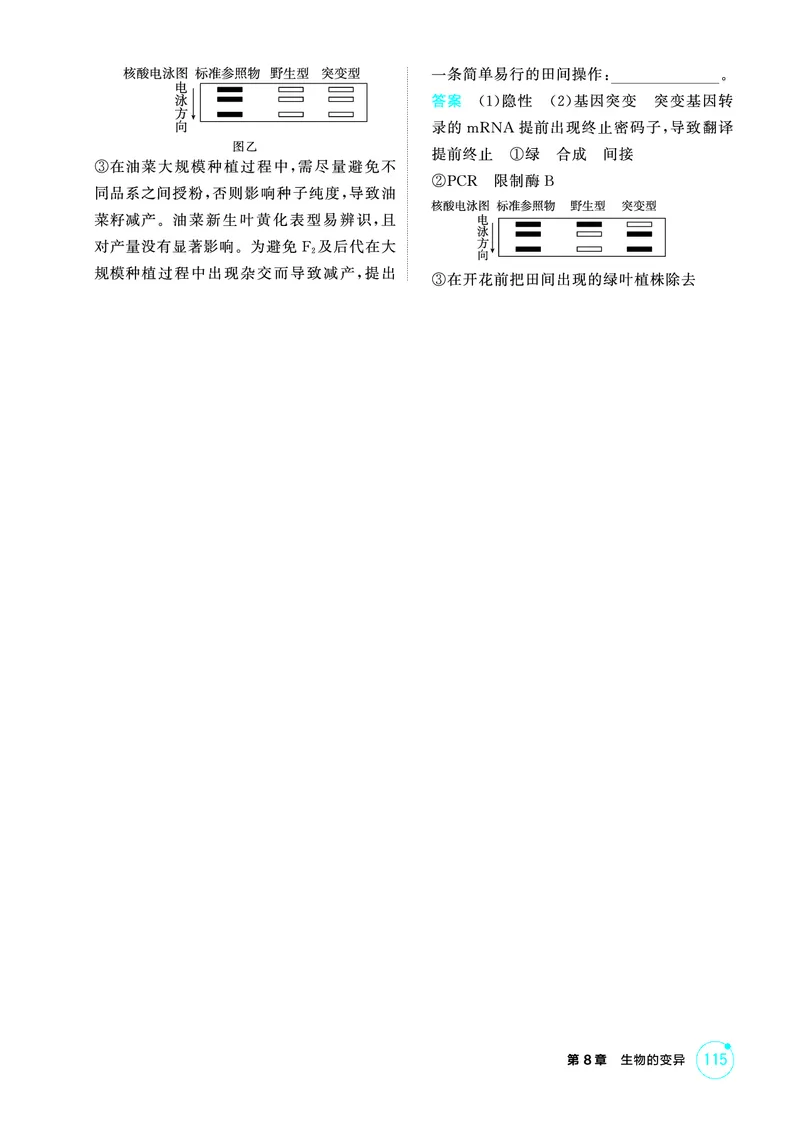 《1_精练册-第8章生物的变异_2026版教学资源包_202653高考总复习A版_浙江版_2026版.浙江版.选考总复习.生物.5·3A版_第2部分遗传与进化_第8章生物的变异_1_精练册PDF》第4页预览