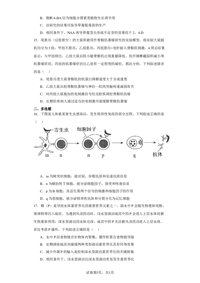 《2023年新高考辽宁卷高考真题生物试卷-1b3ad96263ef_2026版高中《二三轮复习+冲刺复习》_2021-2025生物高考题_2023生物高考题_学生》第5页预览