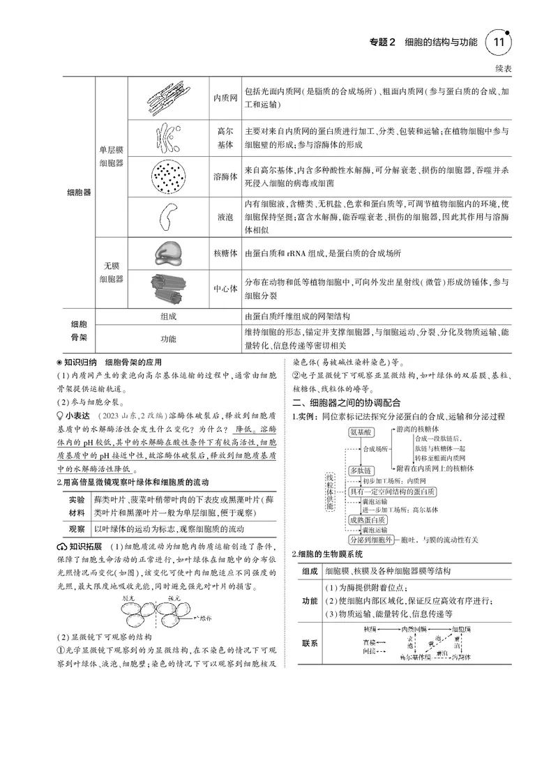 《5_2025版5·3B版新高考版教师用书PDF_2025版教学资源包_（总复习系列）2025版《5年高考3年模拟》新高考版B版（⭐全科）_2025版.新高考新教材版.选考总复习.生物.5·3B版_1_专题资料包_820》第3页预览