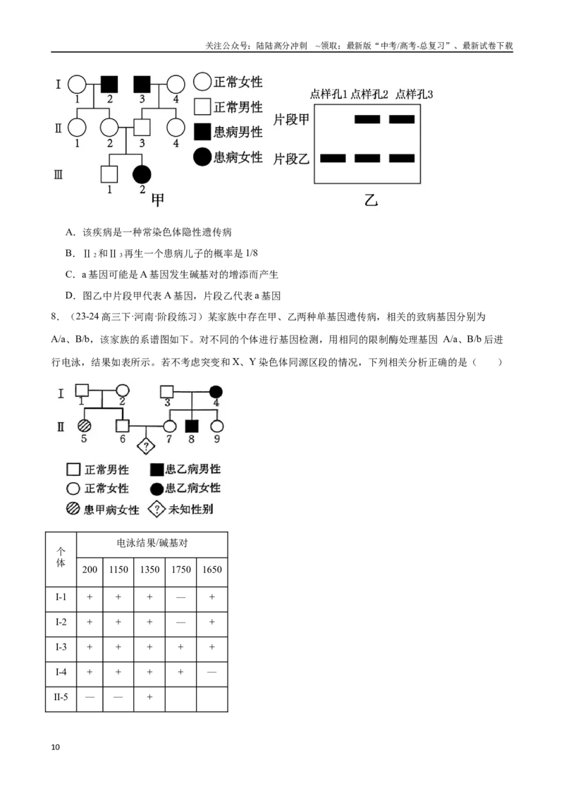 《第5天遗传的基本规律（原卷版）_06-生物-高考总复习_专项复习_2024年_2024年高考生物考前15天夺分必备_资料》第10页预览