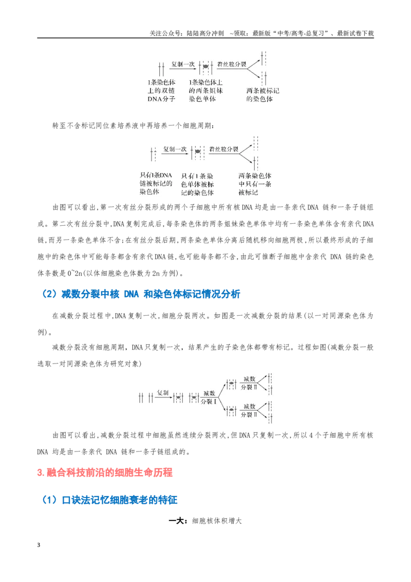 《重难点06细胞的生命历程（原卷版）_06-生物-高考总复习_专项复习_2025年_2025年高考生物重难点讲义专练（黑吉辽蒙专用）》第3页预览