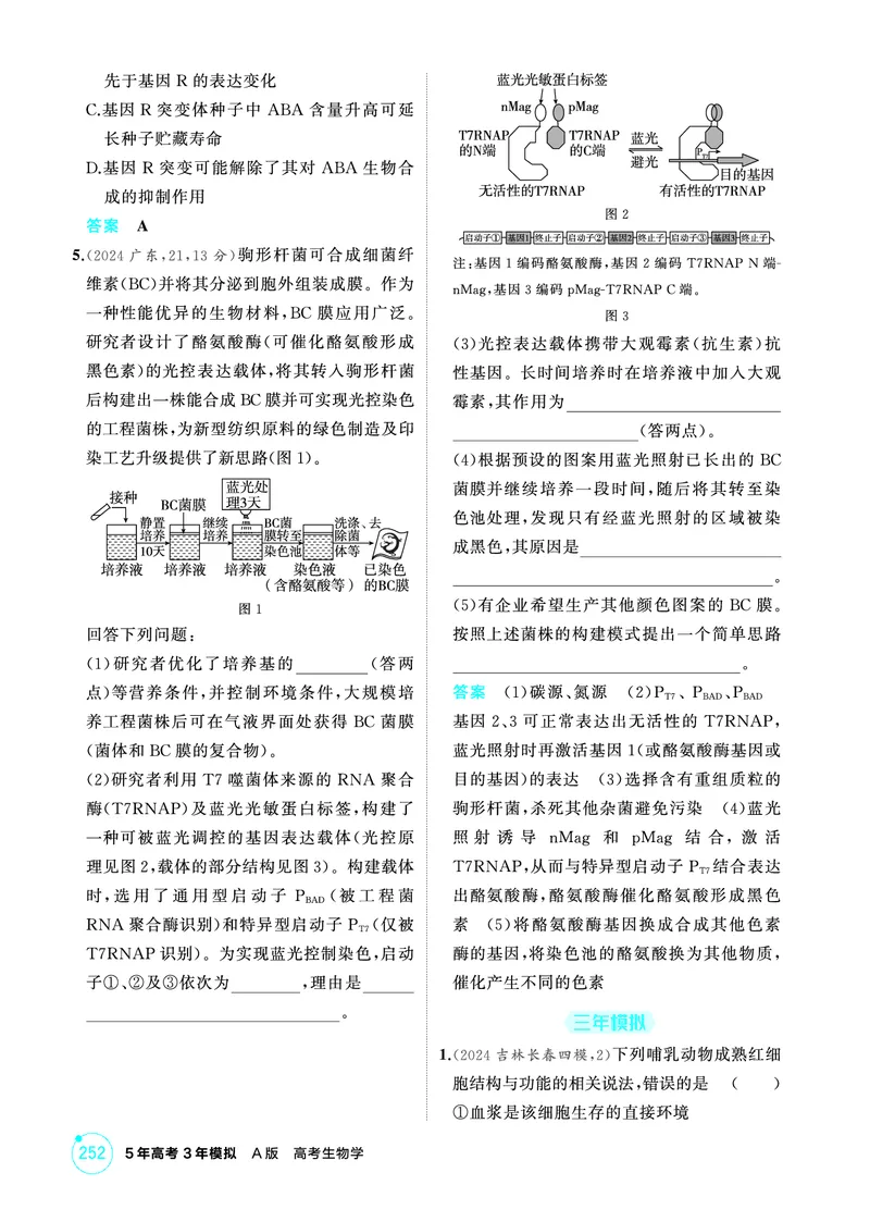 《1_精练册-微专题3精准分析与解释生物学问题_2026版教学资源包_202653高考总复习A版_浙江版_2026版.浙江版.选考总复习.生物.5·3A版_微专题_微专题3精准分析与解释生物学问题_1_精练册PDF》第2页预览