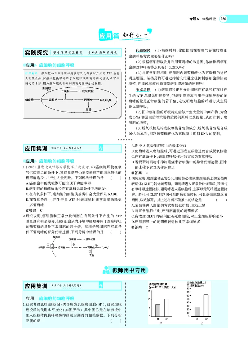《专题5细胞呼吸_2022版教学资源包_五年高考三年模拟_2022版新高考版选考总复习生物5·3A版_0125143739_专题5细胞呼吸_专题PDF_专题PDF_专题电子书》第10页预览