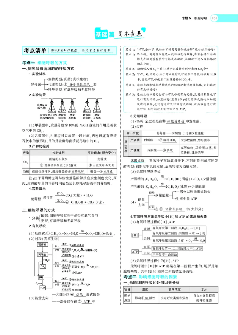 《专题5细胞呼吸_2022版教学资源包_五年高考三年模拟_2022版新高考版选考总复习生物5·3A版_0125143739_专题5细胞呼吸_专题PDF_专题PDF_专题电子书》第2页预览