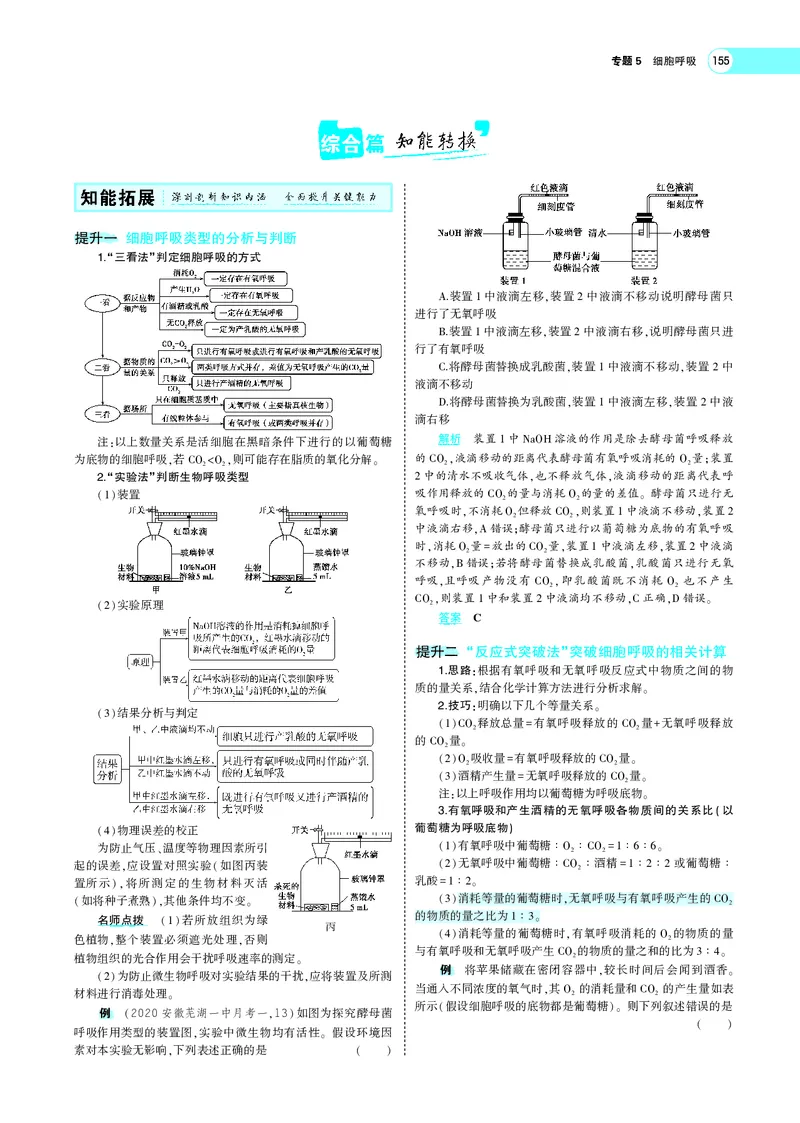 《专题5细胞呼吸_2022版教学资源包_五年高考三年模拟_2022版新高考版选考总复习生物5·3A版_0125143739_专题5细胞呼吸_专题PDF_专题PDF_专题电子书》第6页预览