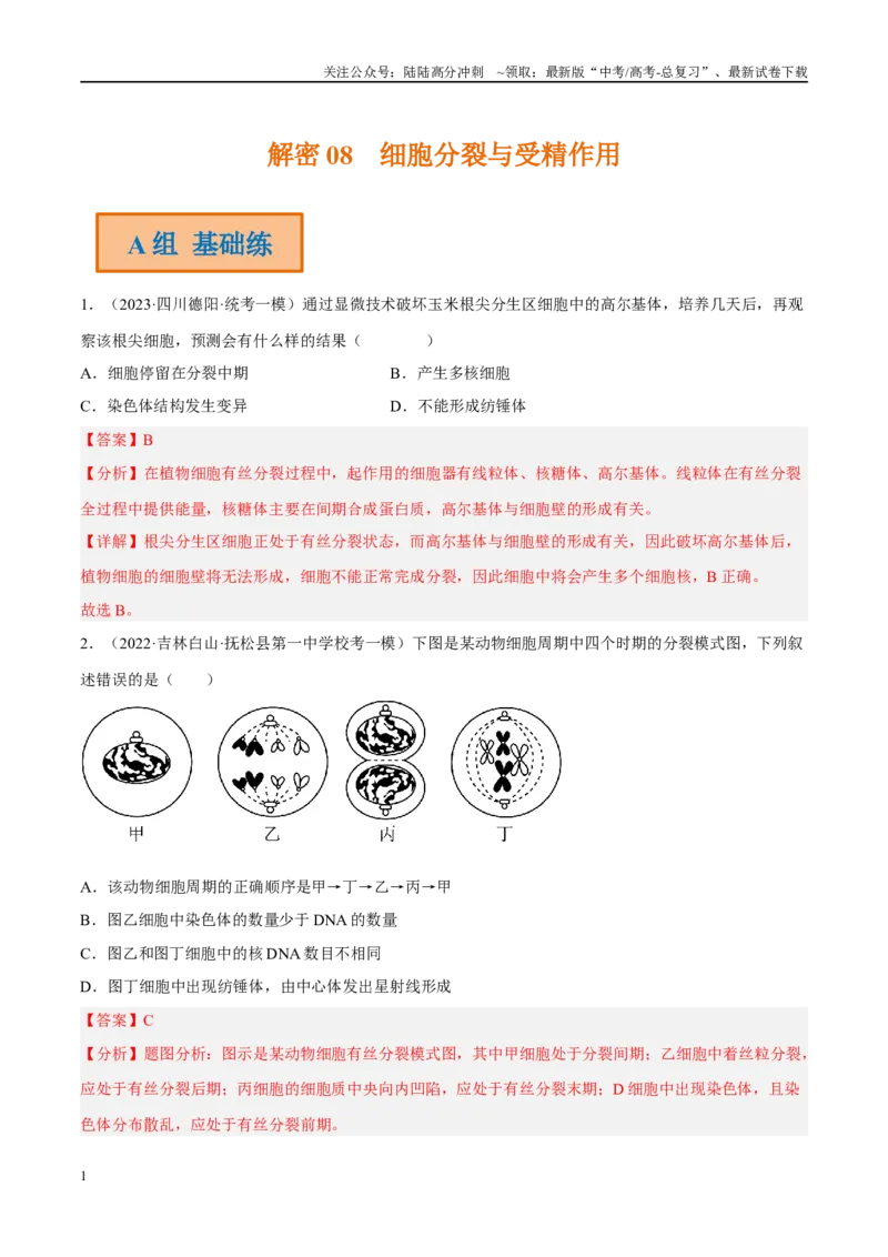 《解密08细胞分裂与受精作用（分层训练）-高频考点解密2023年高考生物二轮复习讲义+分层训练（新教材）（解析版）_06-生物-高考总复习_二轮复习_2024年_资料》第1页预览