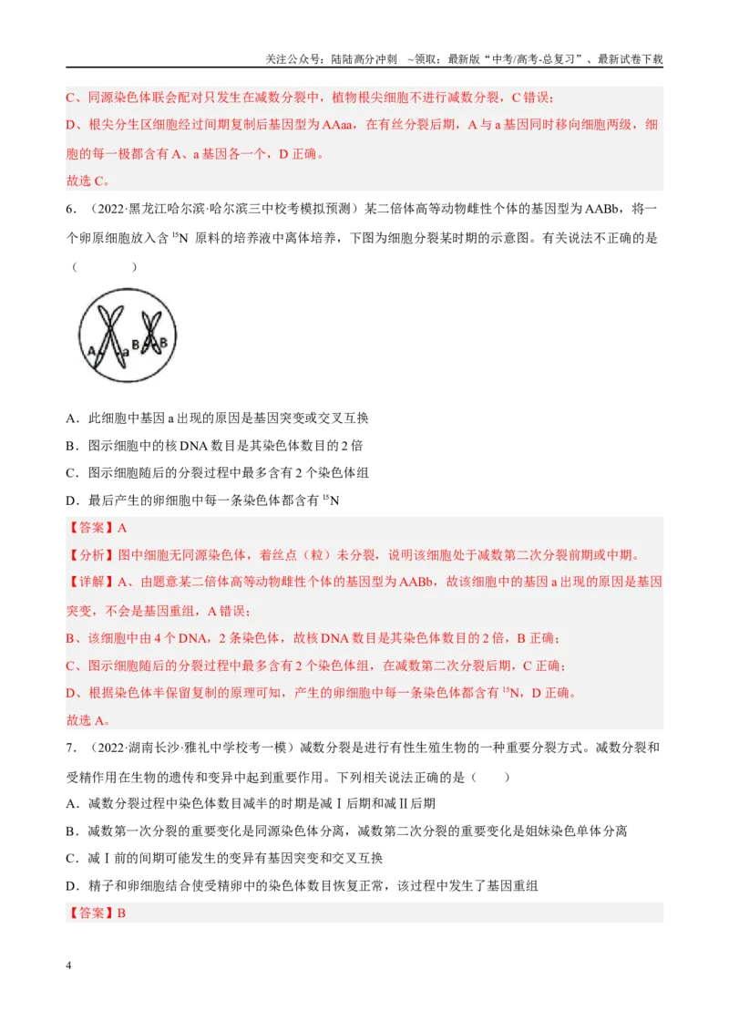 《解密08细胞分裂与受精作用（分层训练）-高频考点解密2023年高考生物二轮复习讲义+分层训练（新教材）（解析版）_06-生物-高考总复习_二轮复习_2024年_资料》第4页预览