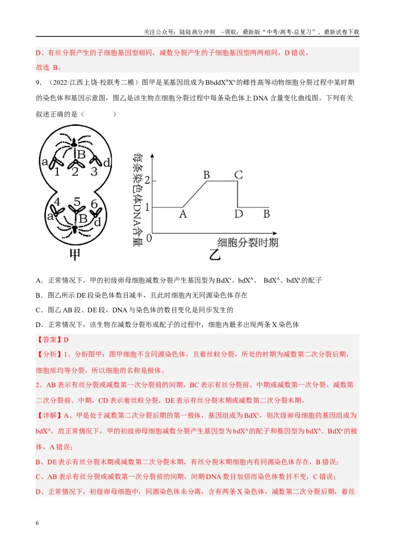 《解密08细胞分裂与受精作用（分层训练）-高频考点解密2023年高考生物二轮复习讲义+分层训练（新教材）（解析版）_06-生物-高考总复习_二轮复习_2024年_资料》第6页预览