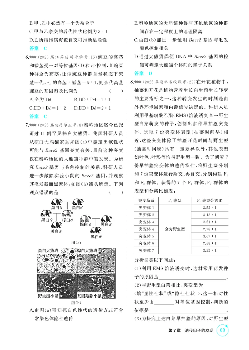 《1_精练册第7章遗传因子的发现_2026版教学资源包_202653高考总复习A版_新高考_生物_教师A版2026年.新高考版.生物.53_第2部分遗传与进化_第7章遗传因子的发现_4_PDF教参电子书》第2页预览