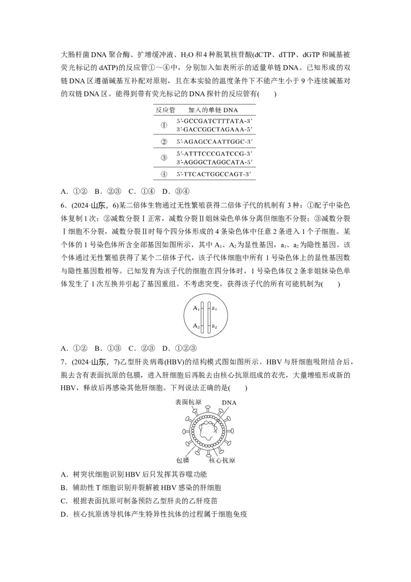 《2024年山东省普通高中学业水平等级考试生物(1)_2026版高中《二三轮复习+冲刺复习》_2021-2025生物高考题_2024生物高考题_学生》第2页预览