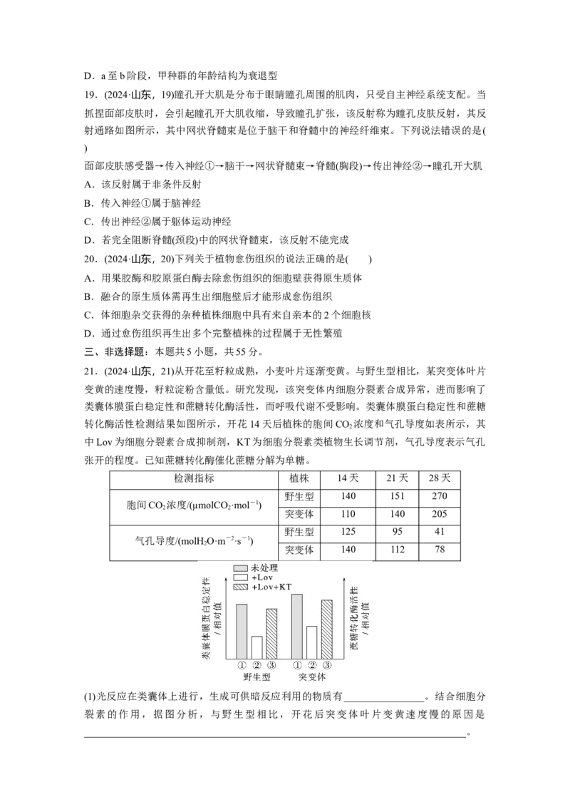 《2024年山东省普通高中学业水平等级考试生物(1)_2026版高中《二三轮复习+冲刺复习》_2021-2025生物高考题_2024生物高考题_学生》第6页预览
