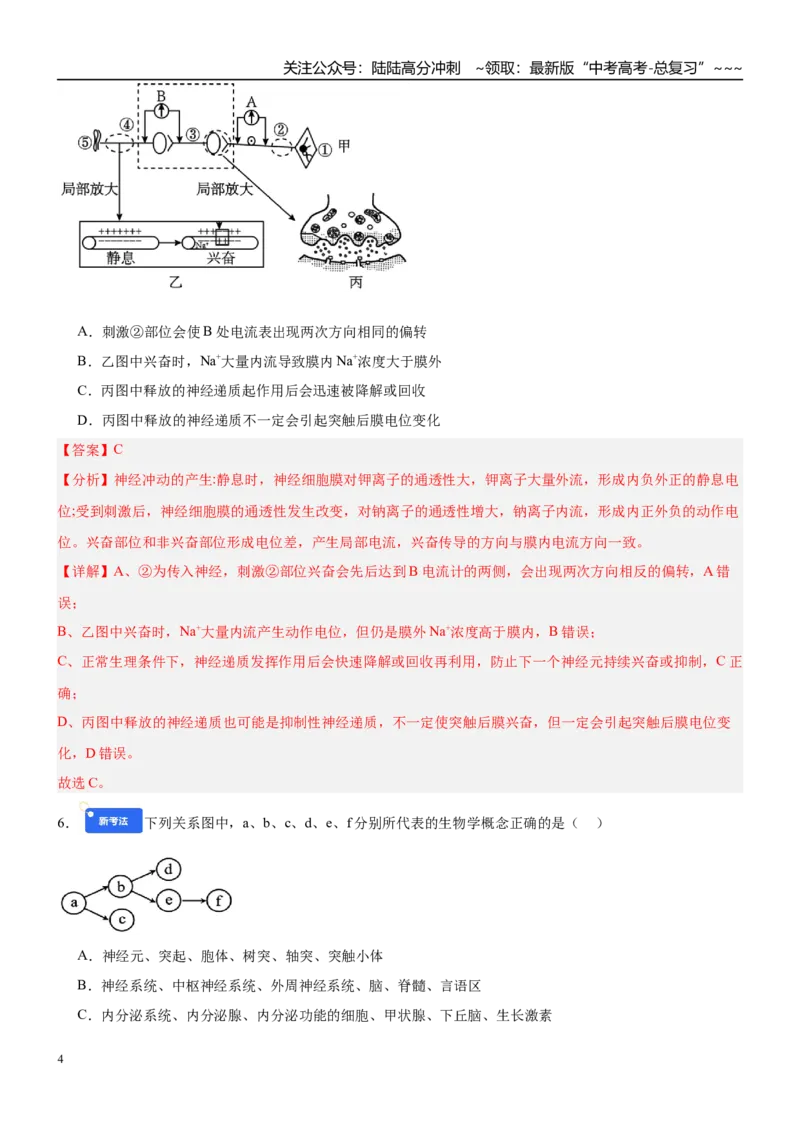 《第八单元稳态与调节（综合训练）（黑吉辽蒙专用）（教师版）_06-生物-高考总复习_一轮复习_2026年-生物高考一轮复习_2026年高考生物一轮课件+讲义+练习（黑吉辽蒙专用）-G330》第4页预览