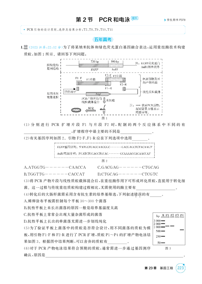《1_精练册-第23章　基因工程_2026版教学资源包_202653高考总复习A版_江苏版_2026版.江苏版.选考总复习.生物.5·3A版_第5部分生物技术与工程_第23章基因工程_1_精练册PDF》第4页预览