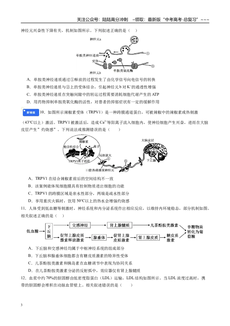 《第八单元稳态与调节（综合训练）（四川专用）（学生版）_06-生物-高考总复习_一轮复习_2026年-生物高考一轮复习_2026年高考生物一轮课件+讲义+练习（四川专用）-G335》第3页预览