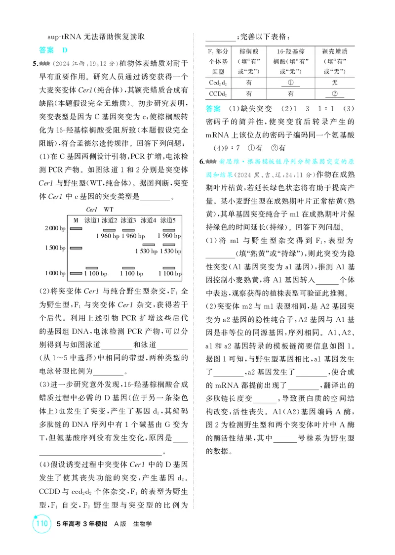 《1_精练册第11章基因突变及其他变异_2026版教学资源包_202653高考总复习A版_新高考_生物_教师A版2026年.新高考版.生物.53_第2部分遗传与进化_第11章基因突变及其他变异_4_PDF教参电子书》第2页预览