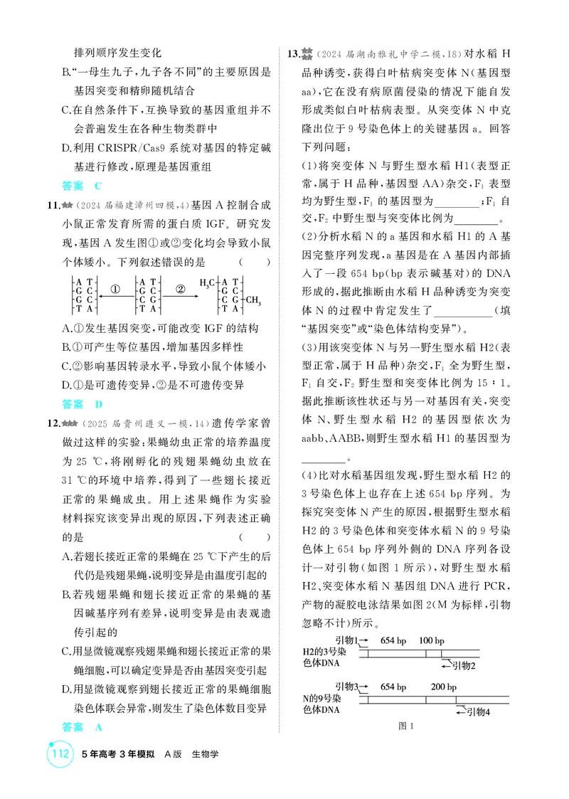 《1_精练册第11章基因突变及其他变异_2026版教学资源包_202653高考总复习A版_新高考_生物_教师A版2026年.新高考版.生物.53_第2部分遗传与进化_第11章基因突变及其他变异_4_PDF教参电子书》第4页预览