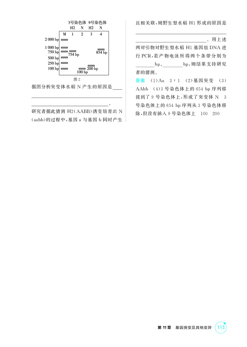《1_精练册第11章基因突变及其他变异_2026版教学资源包_202653高考总复习A版_新高考_生物_教师A版2026年.新高考版.生物.53_第2部分遗传与进化_第11章基因突变及其他变异_4_PDF教参电子书》第5页预览
