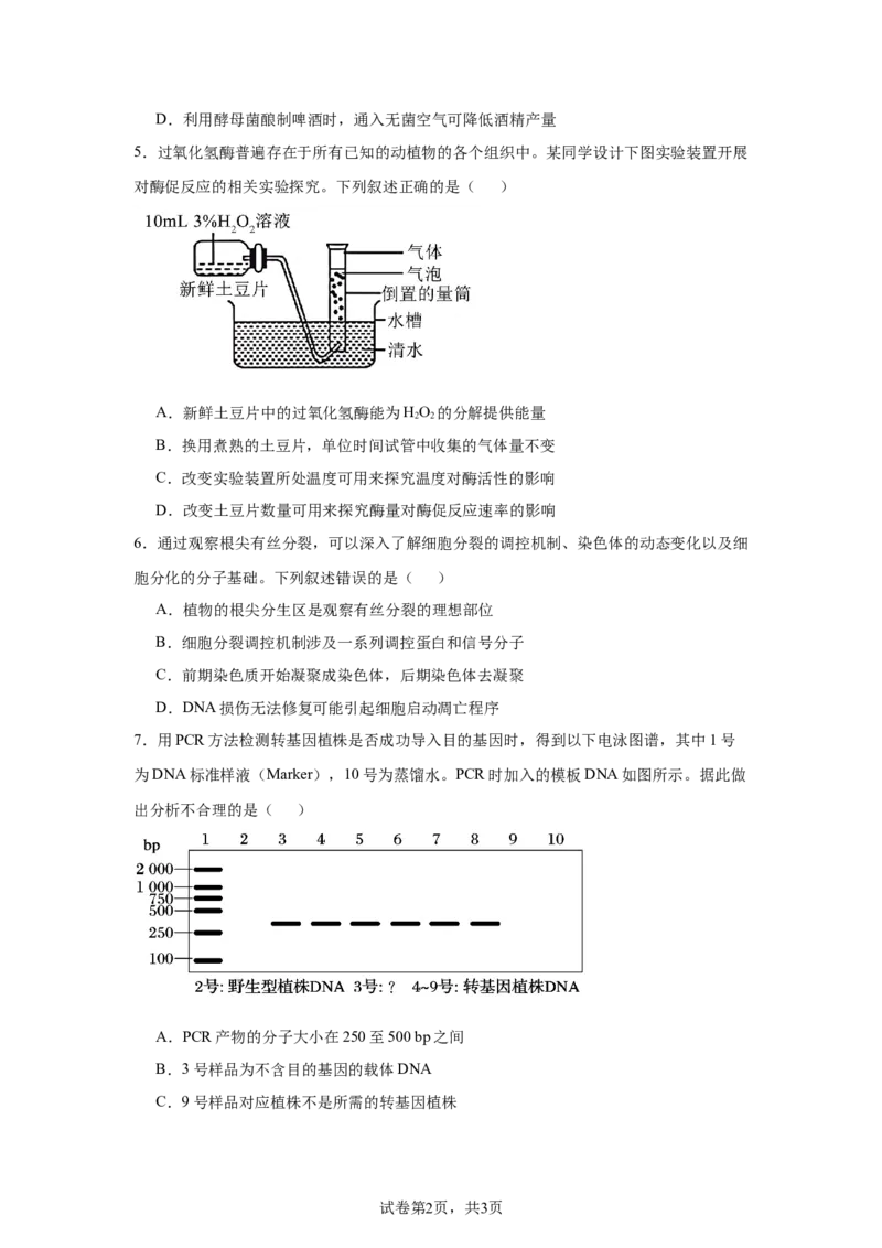 《13_2025届湖南省名校联考联合体高三上学期第一次联考（暨入学检测）生物试题_2026版教学资源包_202653高考总复习A版_新高考_生物_教师A版2026年.新高考版.生物.53_1_资源拓展》第2页预览