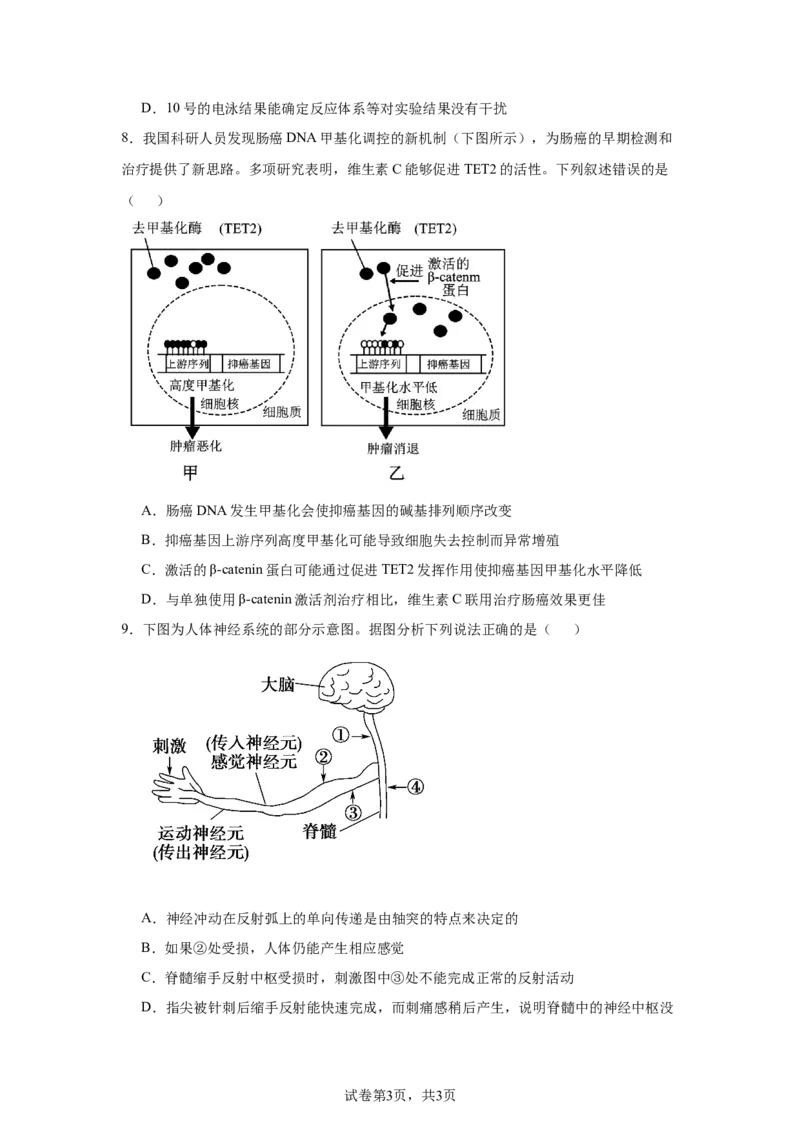 《13_2025届湖南省名校联考联合体高三上学期第一次联考（暨入学检测）生物试题_2026版教学资源包_202653高考总复习A版_新高考_生物_教师A版2026年.新高考版.生物.53_1_资源拓展》第3页预览
