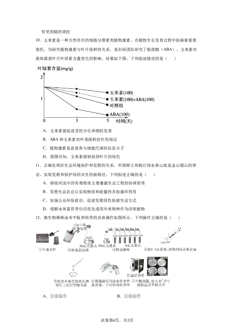 《13_2025届湖南省名校联考联合体高三上学期第一次联考（暨入学检测）生物试题_2026版教学资源包_202653高考总复习A版_新高考_生物_教师A版2026年.新高考版.生物.53_1_资源拓展》第4页预览
