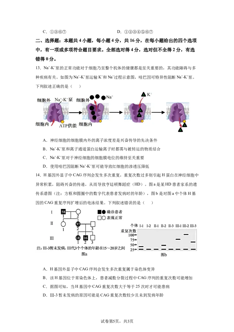 《13_2025届湖南省名校联考联合体高三上学期第一次联考（暨入学检测）生物试题_2026版教学资源包_202653高考总复习A版_新高考_生物_教师A版2026年.新高考版.生物.53_1_资源拓展》第5页预览